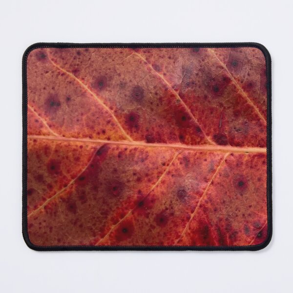 Item preview, Negril almond leaf designed and sold by ClaireRequa.