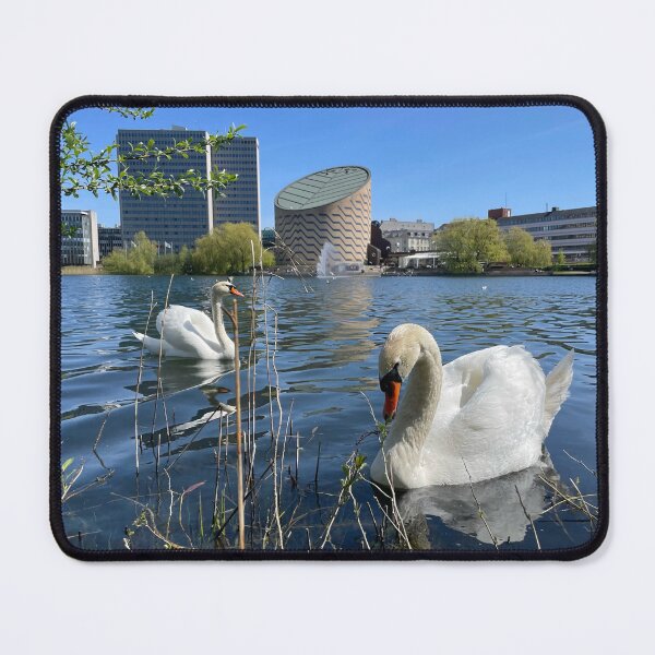 Item preview, Two Swans • Planetarium • Copenhagen • 2022 designed and sold by Mortinus.