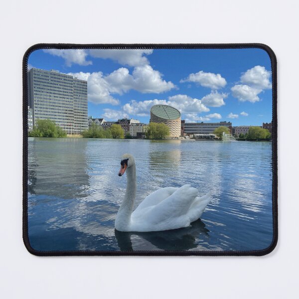 Item preview, Copenhagen Swan • Planetarium • Sky • 2022 designed and sold by Mortinus.