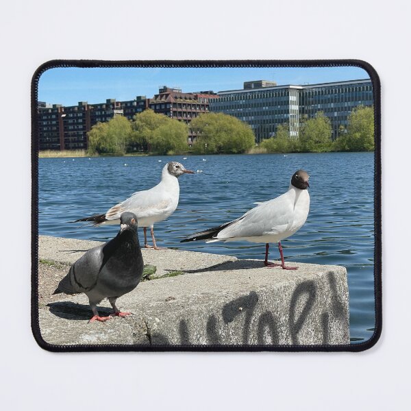 Item preview, Birds • The Lakes, Copenhagen • 2022 designed and sold by Mortinus.