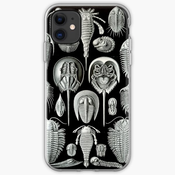 Haeckel Trilobite iPhone Soft Case