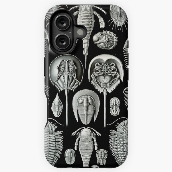 Vista previa del artículo con la obra «Haeckel Trilobite», diseñado y vendido por neonxiomai.