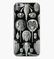 Haeckel Trilobite iPhone Case