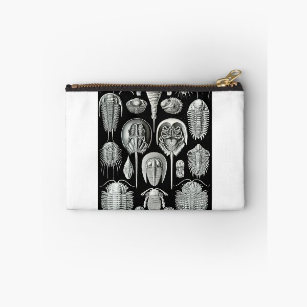 Item preview, Haeckel Trilobite designed and sold by neonxiomai.