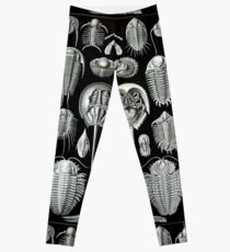 Haeckel Trilobit Leggings