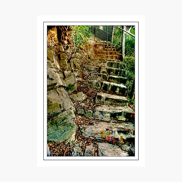 The Steps Photographic Print