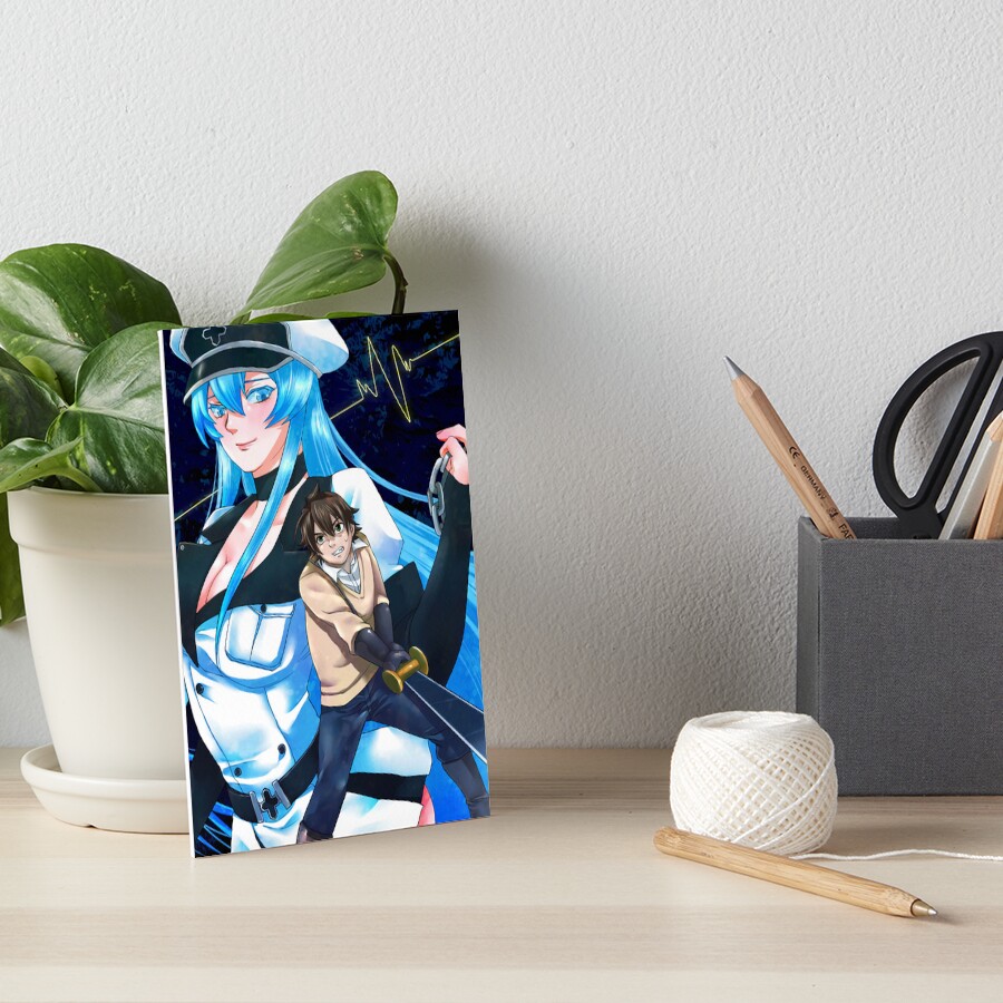 Esdeath  Akame Ga Kill, an art print by Kai Ilmardi - INPRNT