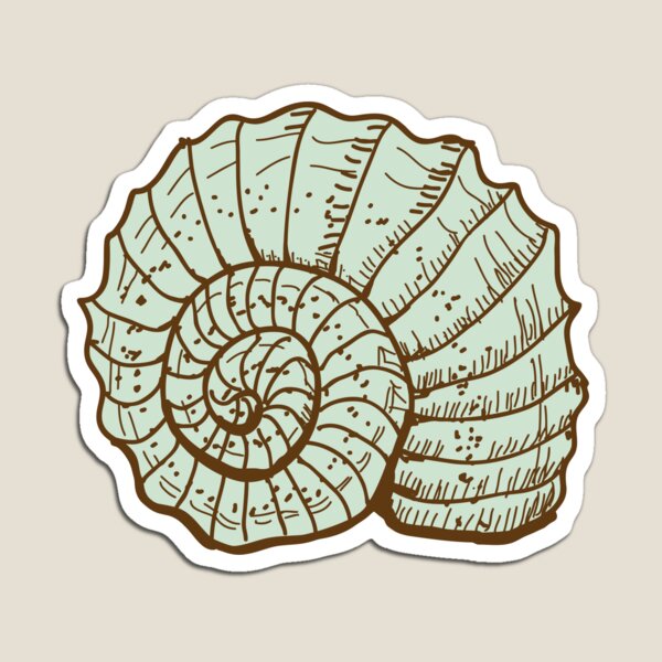 Item preview, Seashell designed and sold by wildserenity.