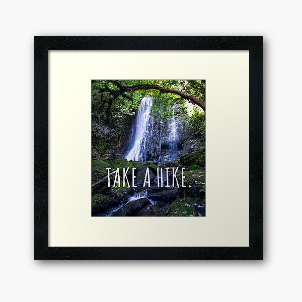 Framed Print