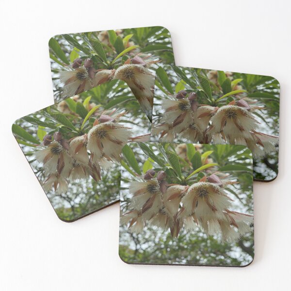 Item preview, Closeup of Woodland Elaeocarpus flowers. designed and sold by Sinemathk.