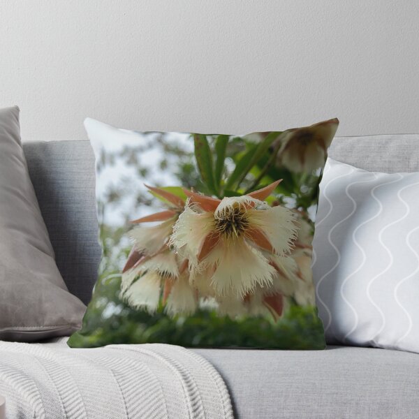 Item preview, Closeup of Woodland Elaeocarpus flowers. designed and sold by Sinemathk.