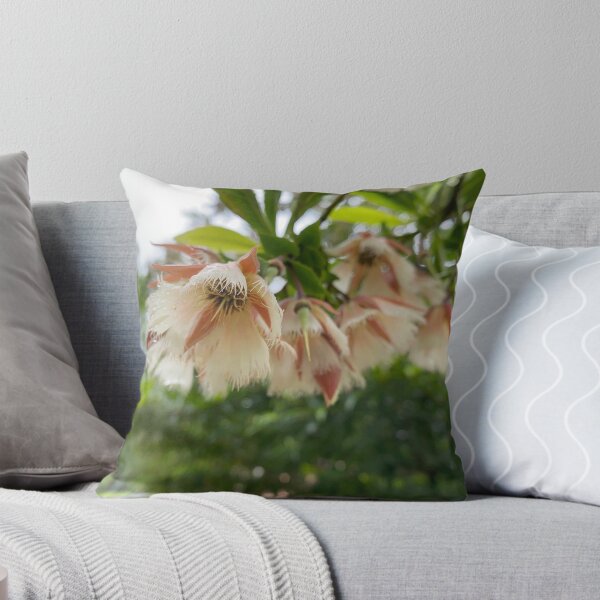 Item preview, Closeup of Woodland Elaeocarpus flowers. designed and sold by Sinemathk.