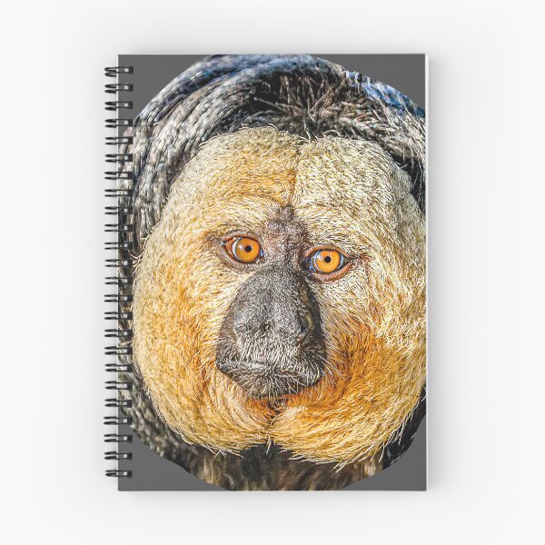 Item preview, Magical face of a male White-faced Saki monkey designed and sold by Dalyndigital Photography.