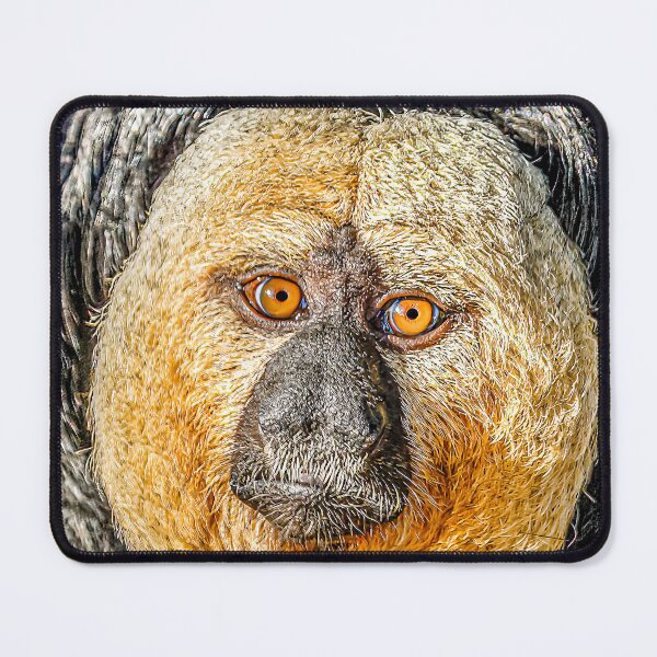 Item preview, Magical face of a male White-faced Saki monkey designed and sold by Dalyndigital Photography.