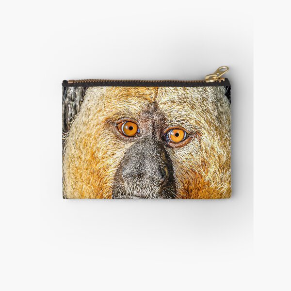 Item preview, Magical face of a male White-faced Saki monkey designed and sold by Dalyndigital Photography.