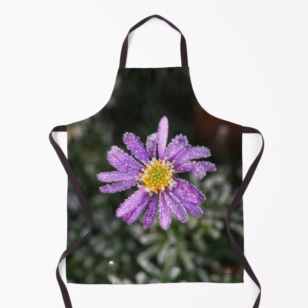Item preview, The 2nd day of winter and minus 4 degrees (20) designed and sold by Wolf Sverak Photography.
