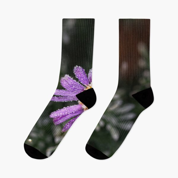 Item preview, The 2nd day of winter and minus 4 degrees (20) designed and sold by Wolf Sverak Photography.