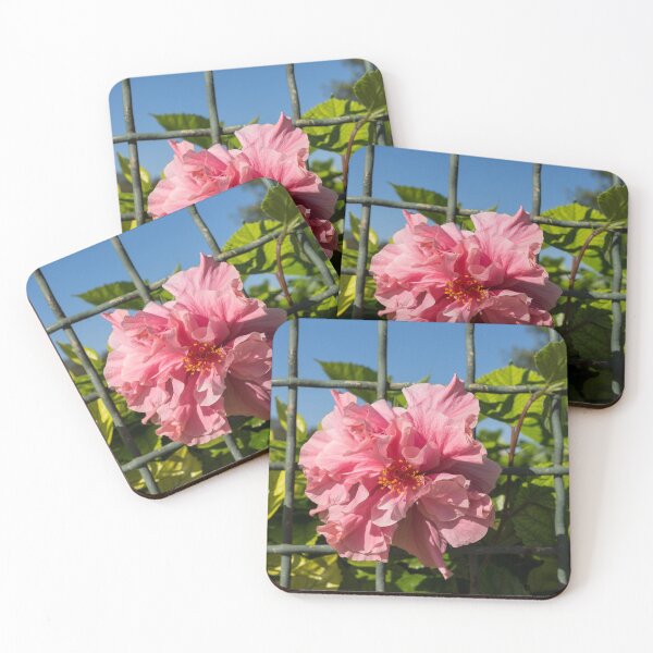 Item preview, Escape Artist - Double Hibiscus Through the Fence designed and sold by Georgia Mizuleva.