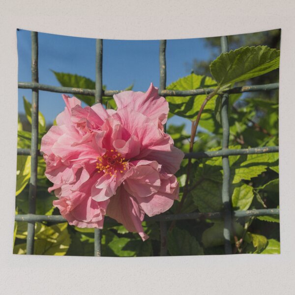 Item preview, Escape Artist - Double Hibiscus Through the Fence designed and sold by Georgia Mizuleva.