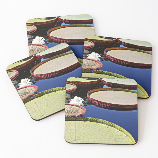 Item preview, Victoria Amazonica | Water Lily | Water Lily Leaf Lily Flowers designed and sold by Khan-Baba.