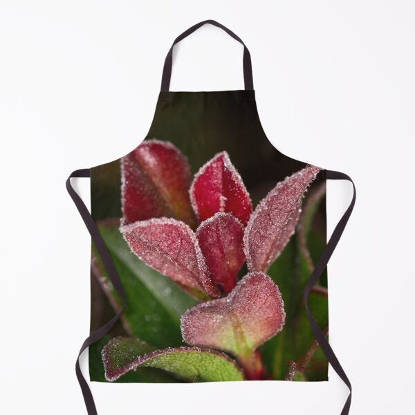 Item preview, The 2nd day of winter and minus 4 degrees (19) designed and sold by Wolf Sverak Photography.