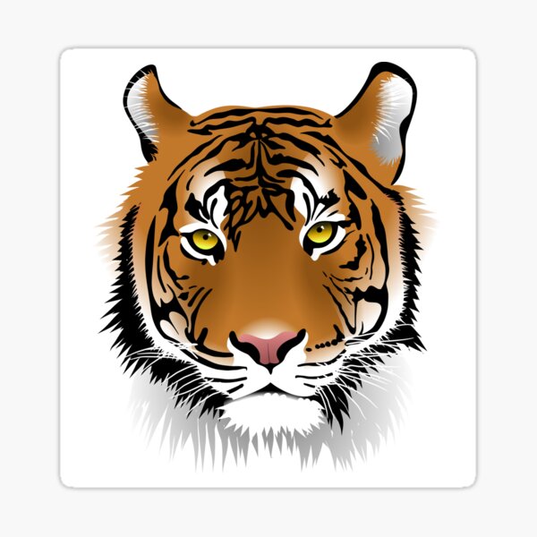 Tigress Face Kit, Costume Tiger Face, Tiger Body Stickers