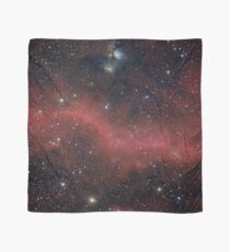 Pink Galaxy Scarf