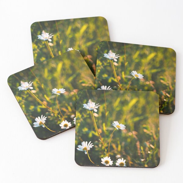Item preview, Daisies catching some late afternoon sun designed and sold by roeltimmermans.