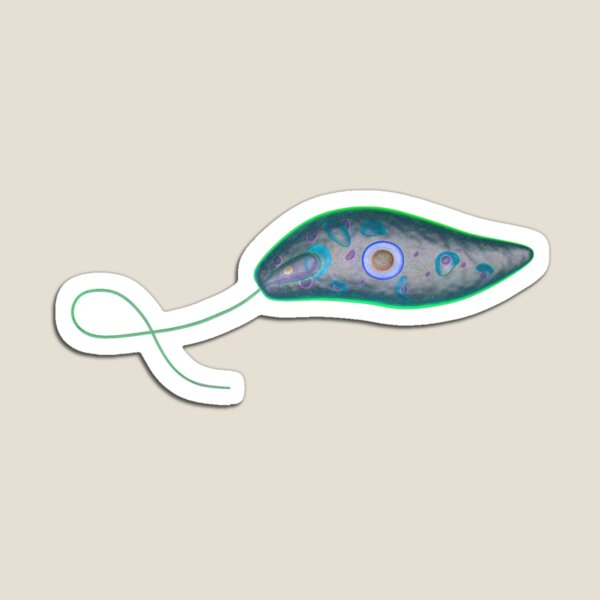 Item preview, Euglena designed and sold by lisawarren.