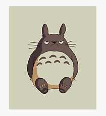 Grumpy Totoro Photographic Print