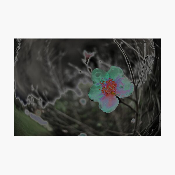 Item preview, Rain Soaked Bloom designed and sold by Jen Waltmon.