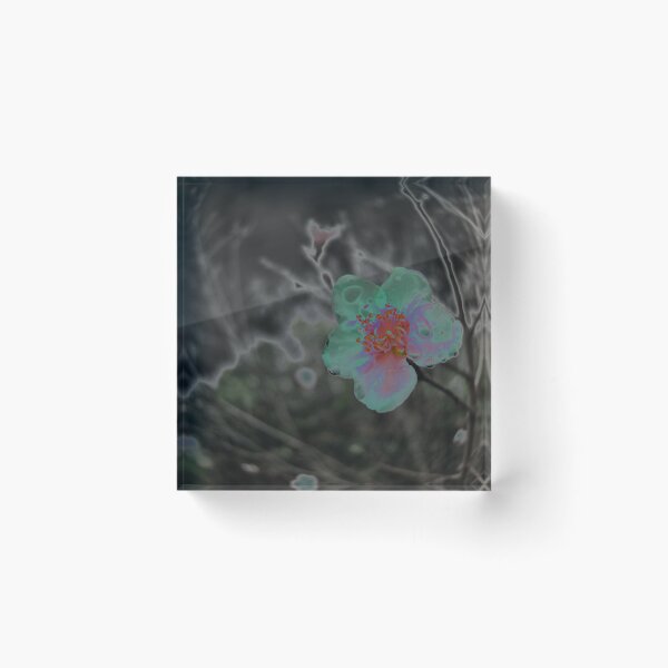 Item preview, Rain Soaked Bloom designed and sold by Jen Waltmon.