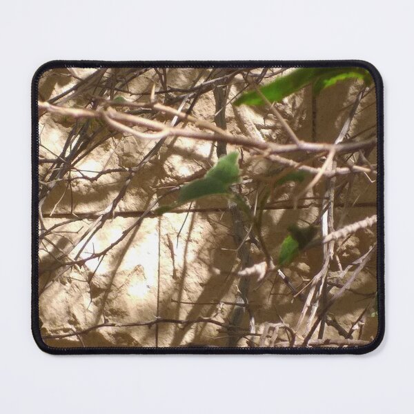 Item preview, festa dei tronchi designed and sold by anata77.