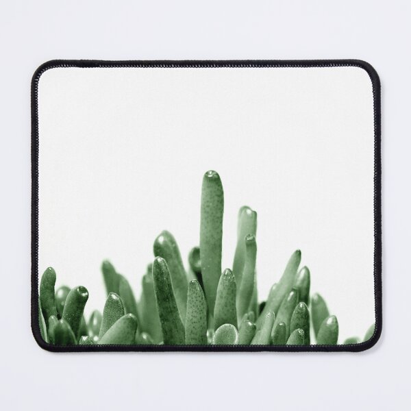 Item preview, Succulent Plant in Muted Color Scandi Style designed and sold by CarolinaReina.