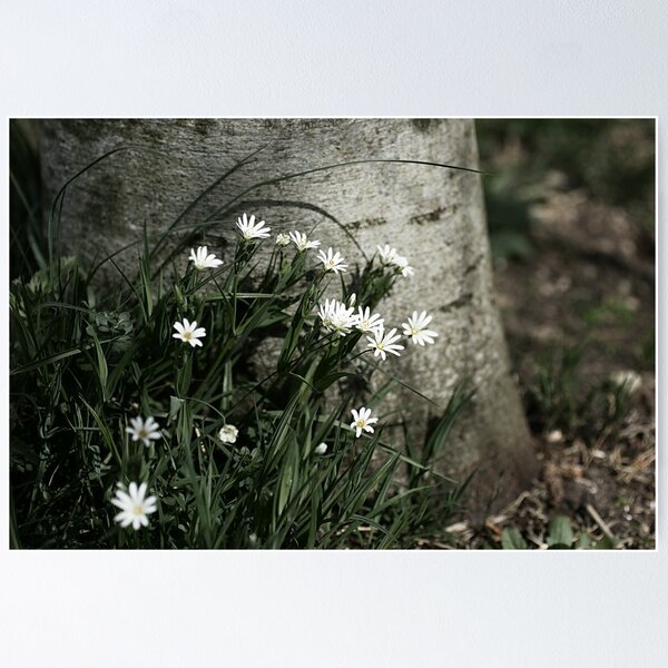 Item preview, Stitchwort designed and sold by Elanor Calvert.