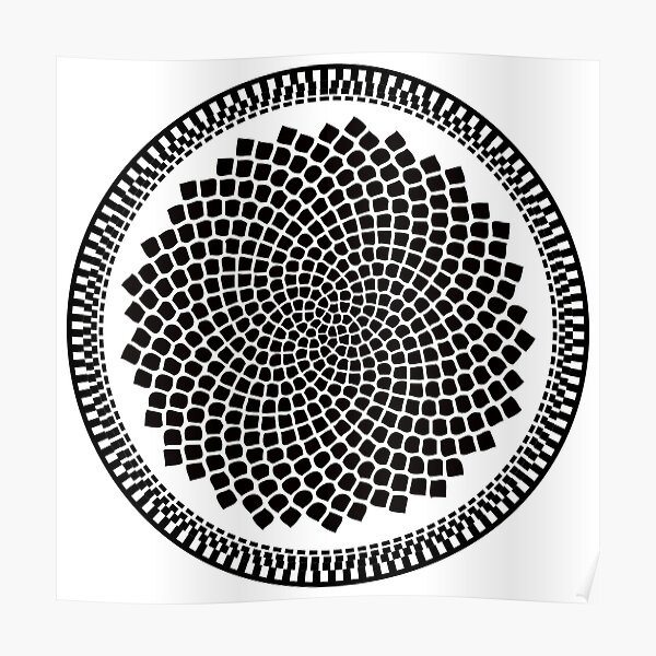 Póster «Espiral Fractal De Fibonacci De Girasol» de thedrumstick | Redbubble