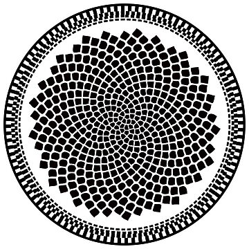 Artwork thumbnail, Sunflower Fibonacci Fractal Spiral by thedrumstick