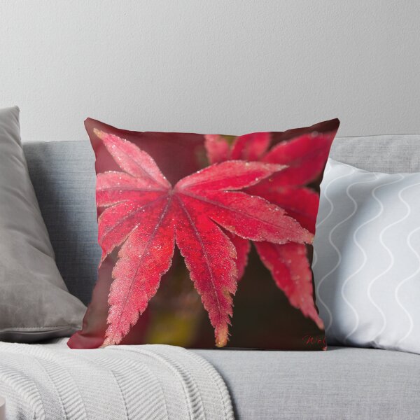 Item preview, The 2nd day of winter and minus 4 degrees (15) designed and sold by Wolf Sverak Photography.