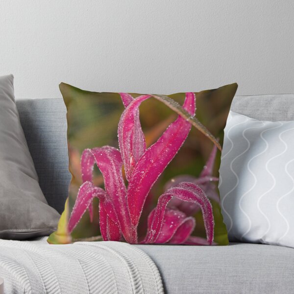 Item preview, The 2nd day of winter and minus 4 degrees (9) designed and sold by Wolf Sverak Photography.