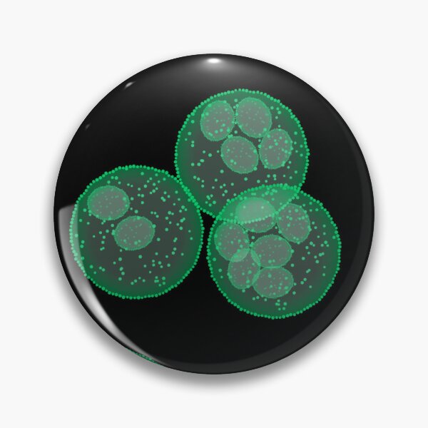 Item preview, Cells or unicellular close up  designed and sold by ReflectedCrafts.