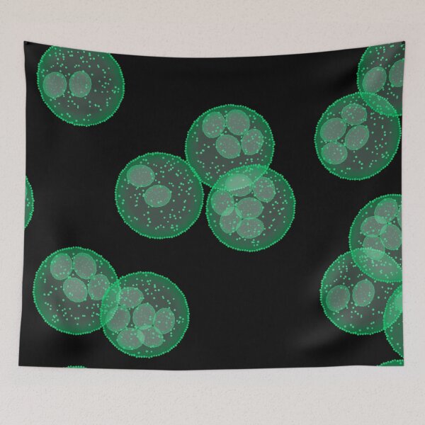 Item preview, Cells or unicellular close up  designed and sold by ReflectedCrafts.