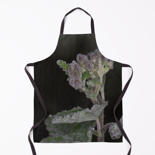 Item preview, The 2nd day of winter and minus 4 degrees (7) designed and sold by Wolf Sverak Photography.