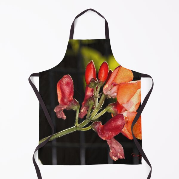 Item preview, The 2nd day of winter and minus 4 degrees (5) designed and sold by Wolf Sverak Photography.