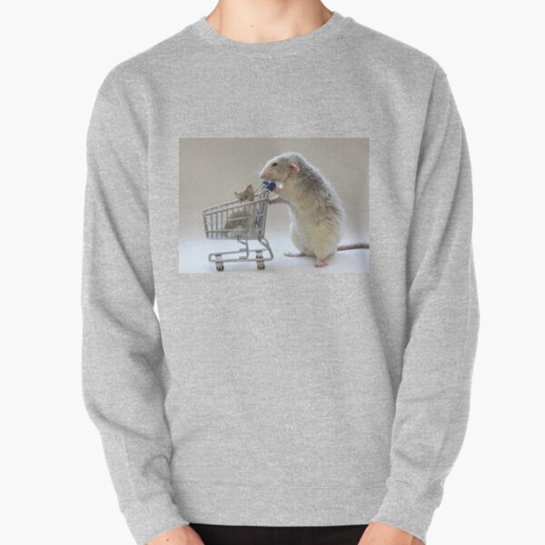 Walking the cat :) Pullover Sweatshirt