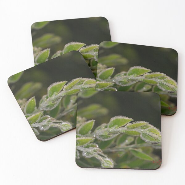 Item preview, The 2nd day of winter and minus 4 degrees (1) designed and sold by Wolf Sverak Photography.