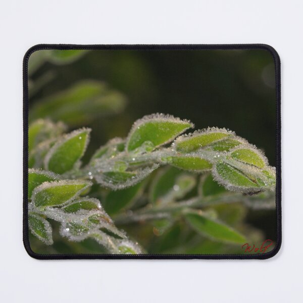 Item preview, The 2nd day of winter and minus 4 degrees (1) designed and sold by Wolf Sverak Photography.