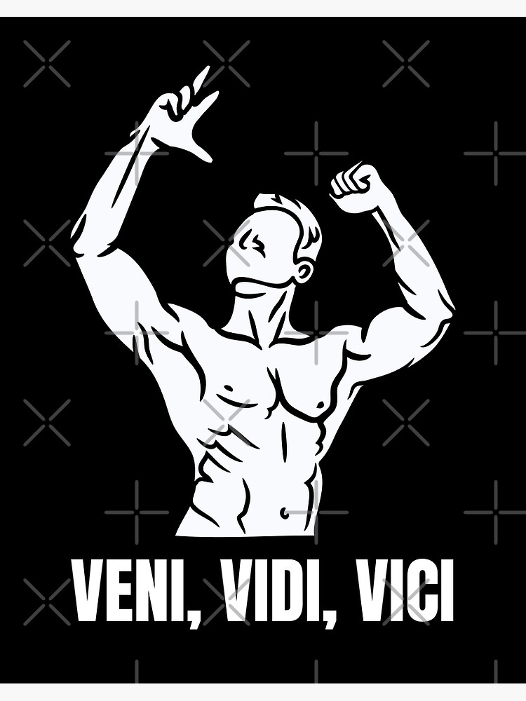 Veni Vidi Vici : r/meme