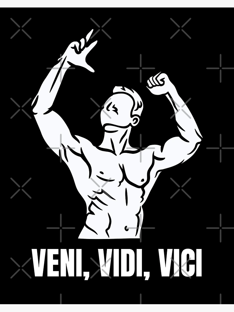 Veni Vidi Vici.. - Mème par souleman15 :) Memedroid