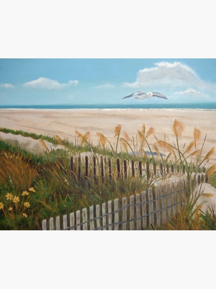 Soaring Seagull Beach Scene by irenebernhardt
