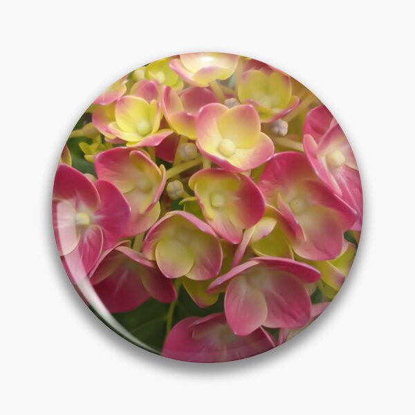 Artikelvorschau, Soft pink hydrangea entworfen und verkauft von KCAbdelnour.